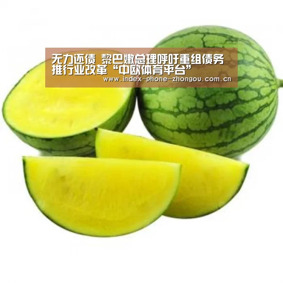 无力还债 黎巴嫩总理呼吁重组债务推行业改