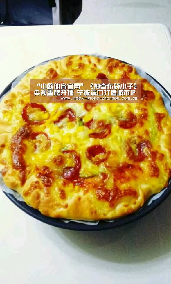 中欧体育平台