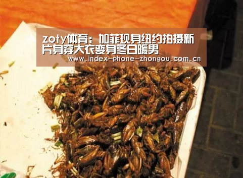 zoty体育:加菲现身纽约拍摄新片身穿大衣变身冬日暖男(图1) 中欧体育官网