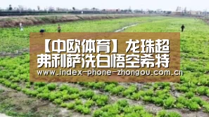 【中欧体育】龙珠超弗利萨洗白悟空希特联手 龙珠超103~104集情报解析(图1) 中欧体育