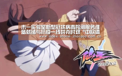 中欧体育官网