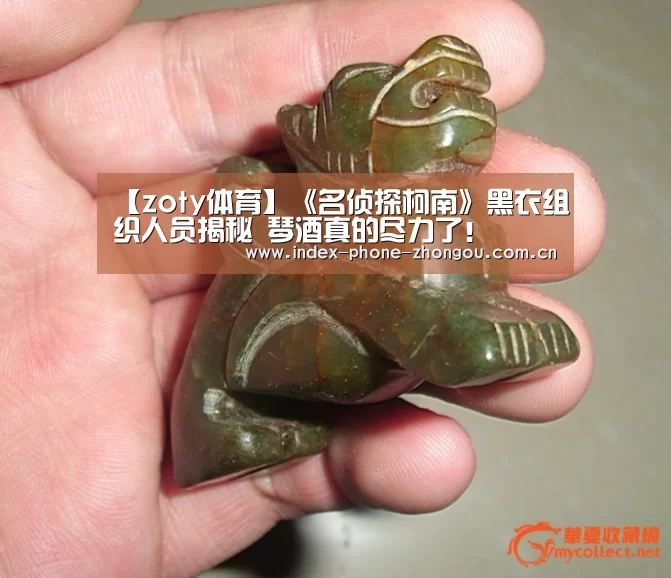 【zoty体育】《名侦探柯南》黑衣组织人员揭秘 琴酒真的尽力了!(图4) 中欧体育官网
