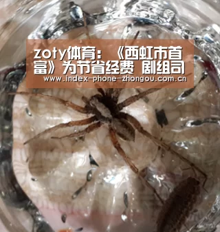 zoty体育:《西虹市首富》为节省经费 剧组司机阿姨都来扮群演(图1) 中欧体育官网