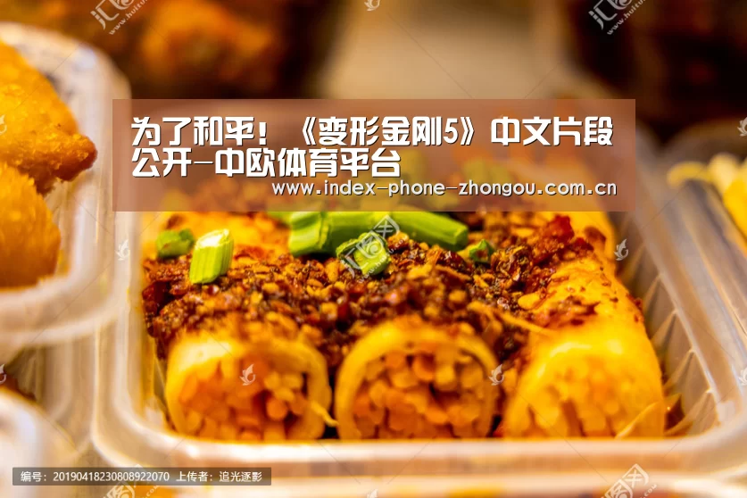 为了和平!《变形金刚5》中文片段公开-中欧体育平台(图1) 中欧体育