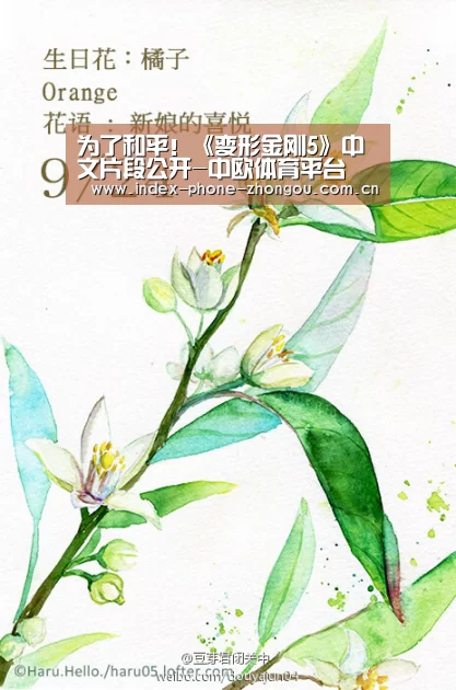 为了和平!《变形金刚5》中文片段公开-中欧体育平台(图3) 中欧体育