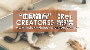 中欧体育平台